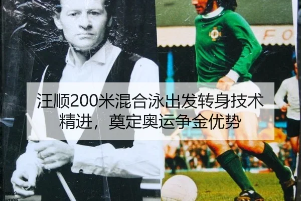wang-shun-mi-hun-he-yong-chu-fa-zhuan-shen-ji-shu-jing-jin-dian-ding-ao-yun-zheng-jin-you-shi-3-722.jpg